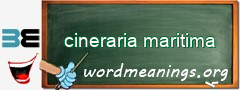 WordMeaning blackboard for cineraria maritima